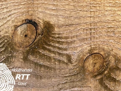 Algemene kenmerken hout